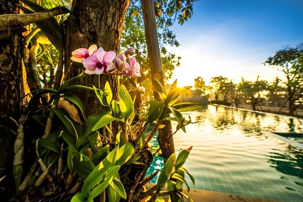 Chatnipa Beach Resort By Morseng Ban Hat Lek Bagian luar foto